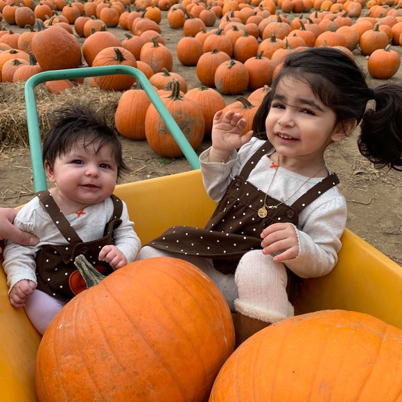 Meet your Posher, Romeo - Picture 1 of 1